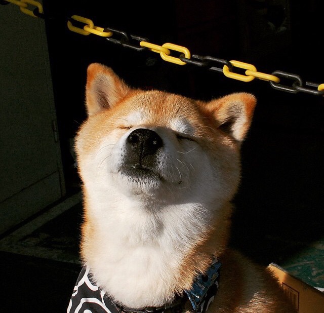 【自动判决系统】挥杆瞬间由科技“定夺”，未来已来？，自动裁判