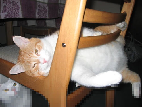 数字青训项目“赋能”未来,行业智能化水平持续提升,数字青少年宫登录入口