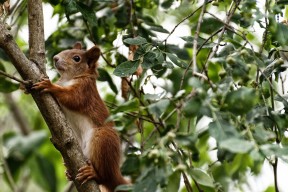 开云全站下载-“快节奏规则开启行业新篇章——打破时间界限推动运动生态全面升级”
