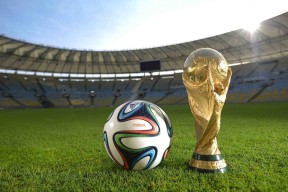 开云体育视频直播-浙江广厦首次夺冠全队士气高涨准备新征程，浙江广厦夺过冠军吗