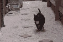 开云备用-史上最震撼的季后赛瞬间，激励一代又一代球迷，季后赛最有价值球员