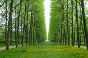 开云esports-球员比赛服饰环保材质采用，绿色比赛理念落地，打比赛球衣怎么穿