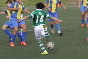 开云网页版-国家体育场运营中心发布暑期开放时间公告，国家体育场百度百科