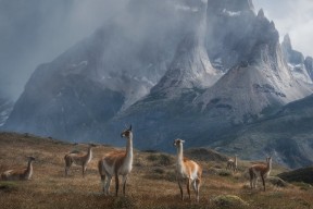 开云体育全站-“未来之星青少年足球巡回赛火热进行，精彩纷呈”，未来之星足球学院