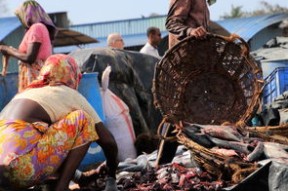开云体育网页版-南非男泳将破百米自由泳全国纪录，南非男泳将破百米自由泳全国纪录是多少
