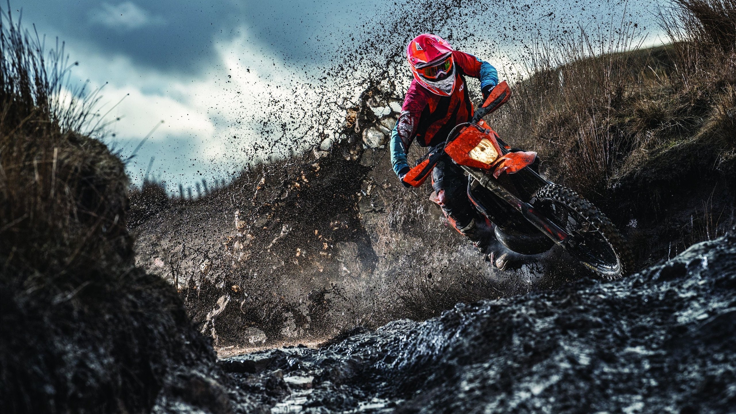 体育新闻中心发布运动员心理调节项目实验阶段总结,运动员的心理训练